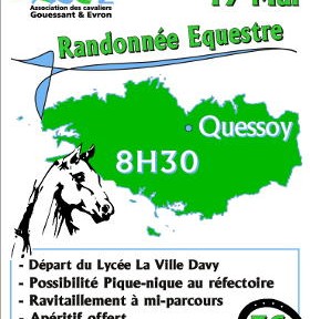 Logo, affiche, poster réalisés en cours