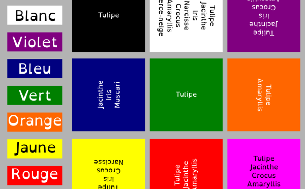 Inkscape + Sozi : Les couleurs et les bulbes forcés