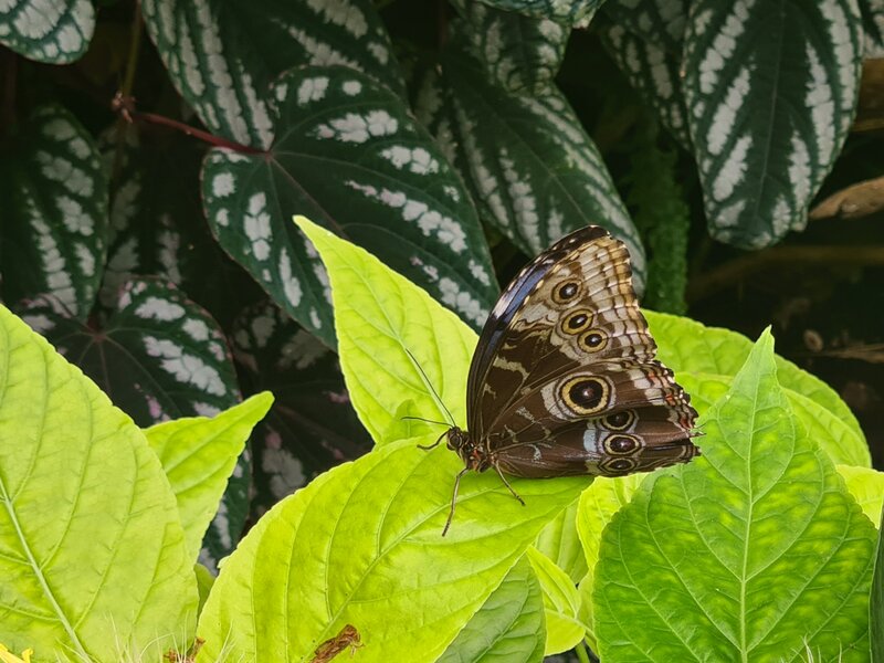 Visite pédagogique à Terra Botanica