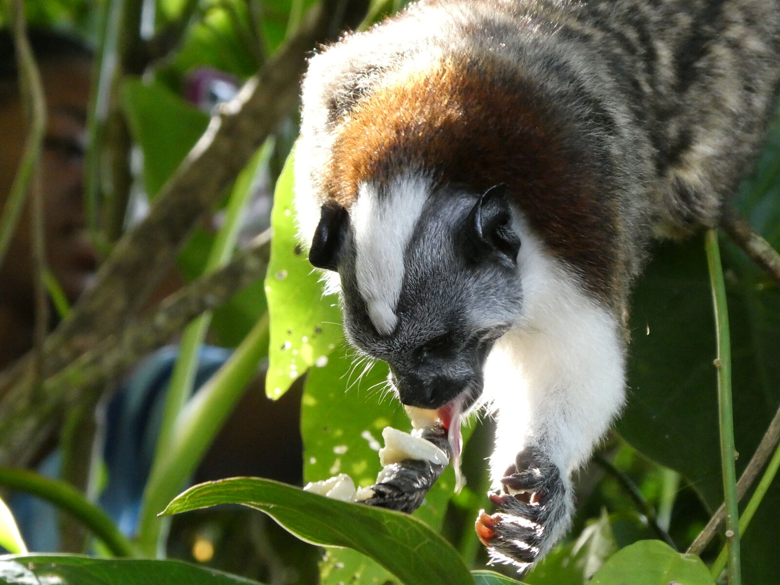 La reco du Prof T.I.M. – Rentrée 2025