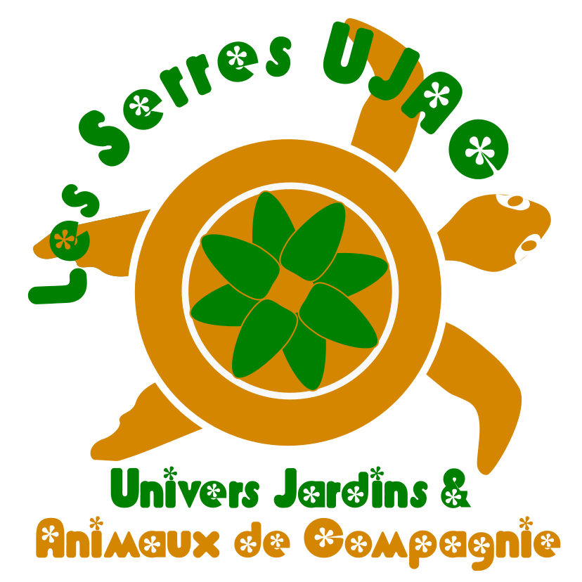 Production de l’EIL en BTS 1 : Livraison de décembre 2025