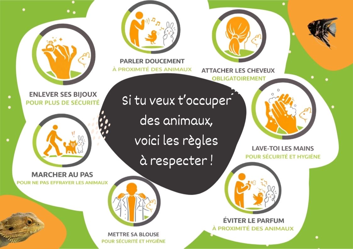 Production de l’EIL en BTS 2 : Livraison de janvier 2026