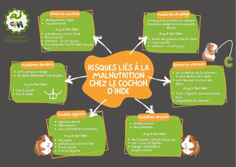 Production de l’EIL en BTS 2 : Livraison d&rsquo;avril 2026