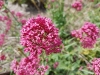 20170607_125454