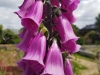 20170607_125525