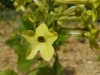 20170607_125622