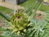 20170607_125820