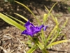 20170607_125843