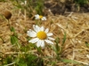 20170607_125920