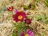 20170607_130010
