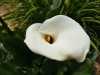 20170607_130351