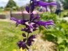 20170607_130406