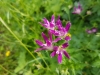 20170607_130551