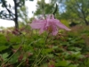 20170607_130626