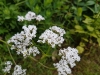 20170607_130659