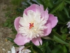 20170607_130741
