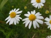 20170607_131001