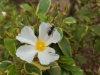 20170607_131244