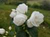 20170607_131602