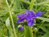 20170607_131629
