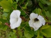 20170607_131642