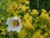 20170607_131654