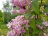 20170607_131840