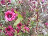 20170607_131910
