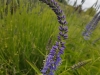 20170607_131924