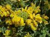 20170607_132031