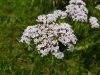 20170607_132200