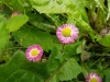 20170607_132542