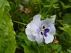 20170607_132555