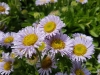 20170607_132952