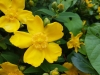 20170607_133027